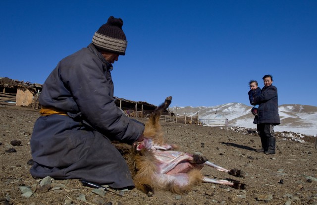Монголия замерзает