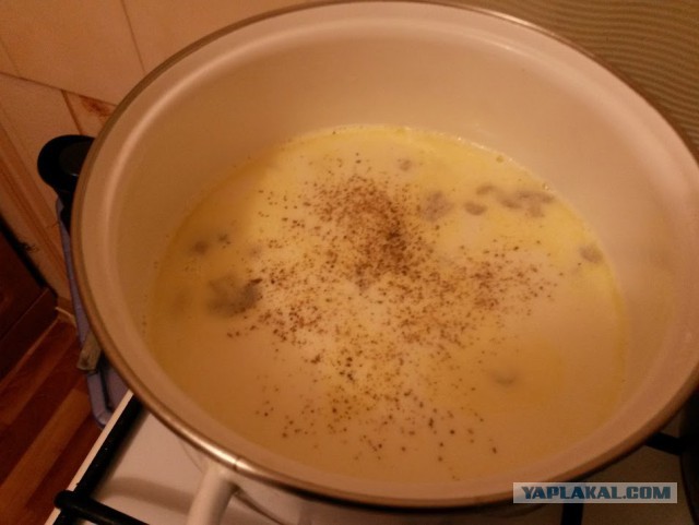 Суп молочный с грибами бабушкин