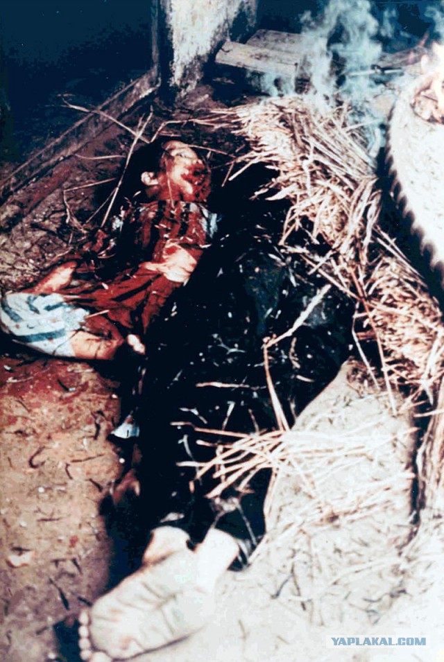 http://s00.yaplakal.com/pics/pics_preview/3/9/2/7606293.jpg