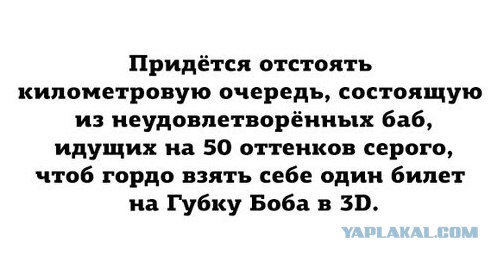 4733593.jpg