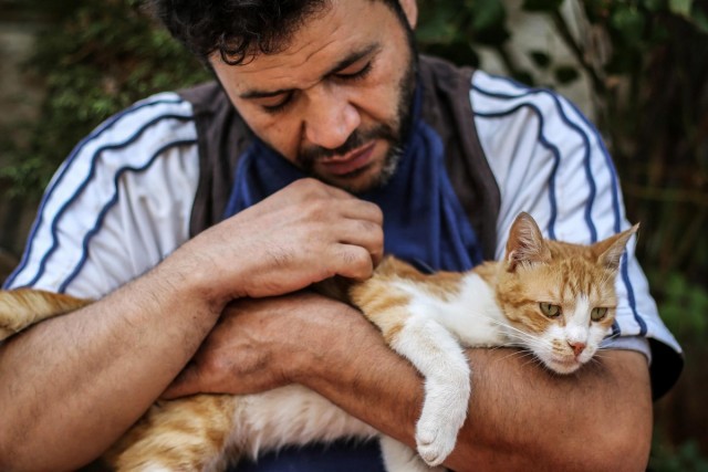 «Человек-кот из Алеппо» продолжает спасать бездомных животных