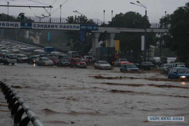 Я люблю Владивосток