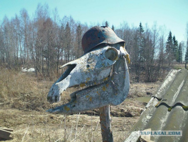 И эти люди мне запрещают ковыряться в земле!