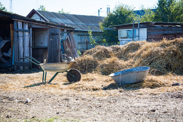 Турецкий гамбит.