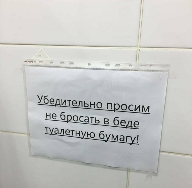 Свинегрет: картинки, надписи и прочее на 11.05 или №24