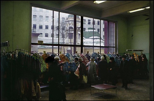 4335204.jpg