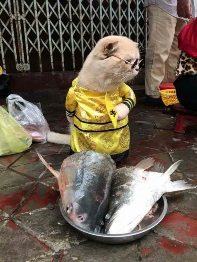 По-моему, самый симпатичный продавец рыбы!