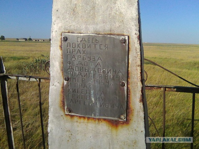 Командировка. В степь. Животные и люди