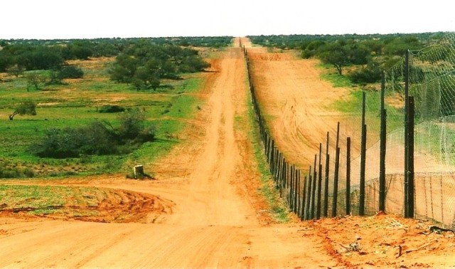 Самая длинная прямая дорога в мире - шоссе Эйр