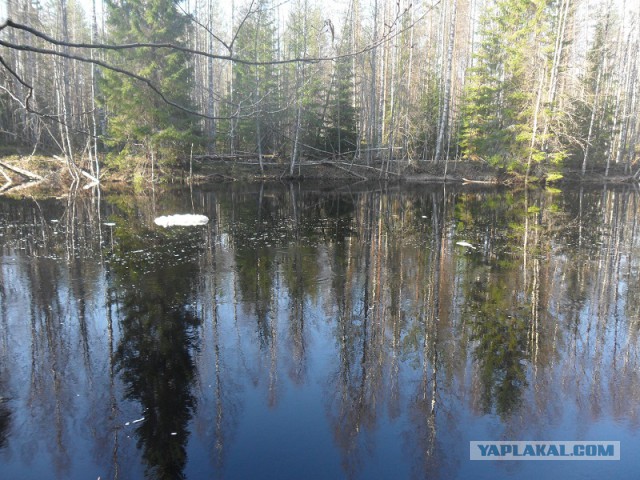 Река Уксунйоки (Укса). Карелия. Сплав по большой воде. Фотоотчет