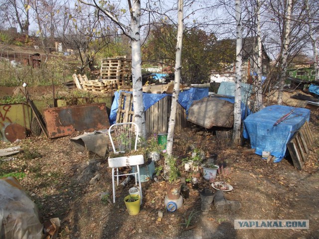 Быстродом из поддонов или техника безопасности - не, не слышал.