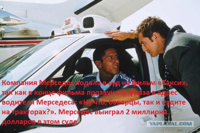 8663904.jpg