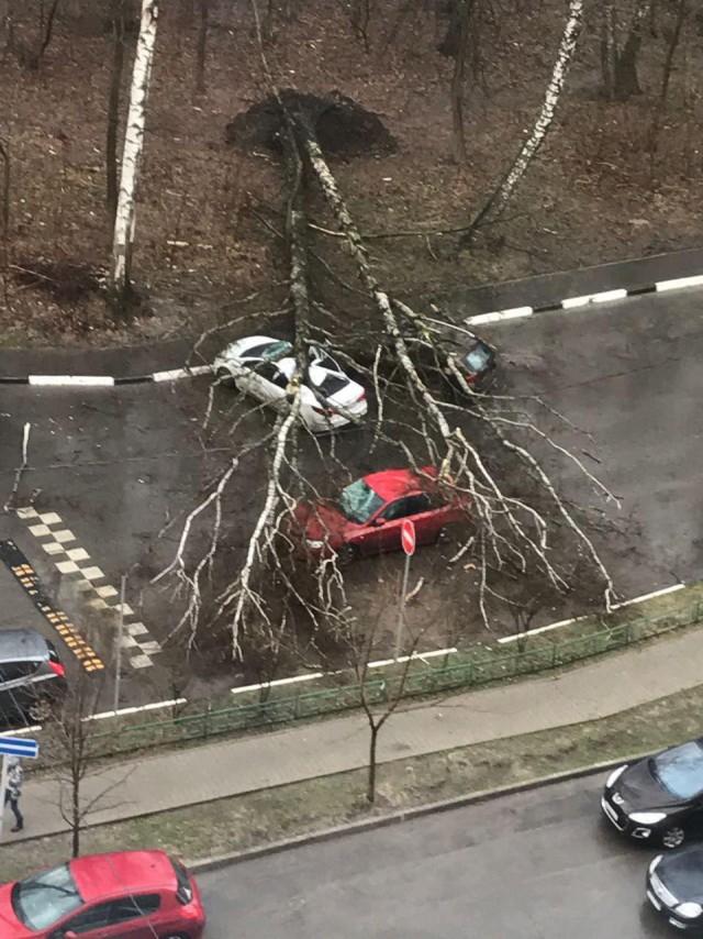 В Москве из-за шторма пострадали 12 человек