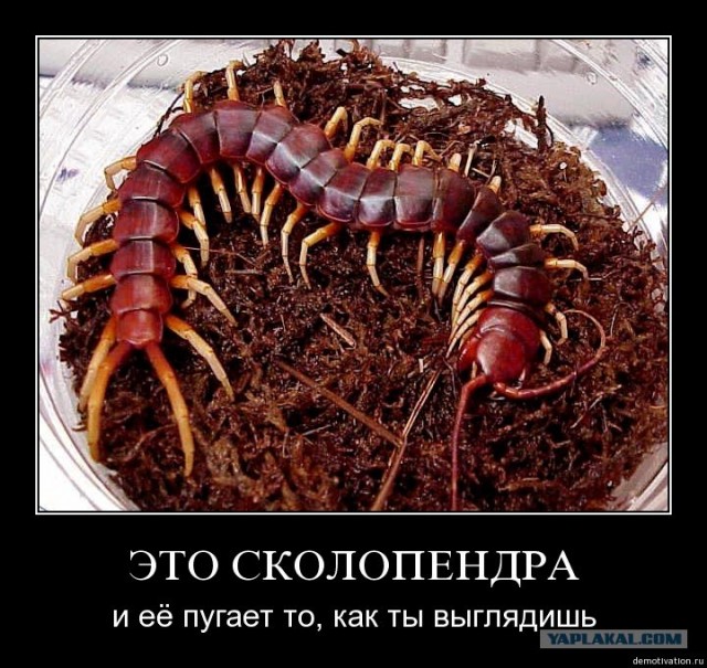 Статус так мне и надо картинка Статус так мне и надо картинка
