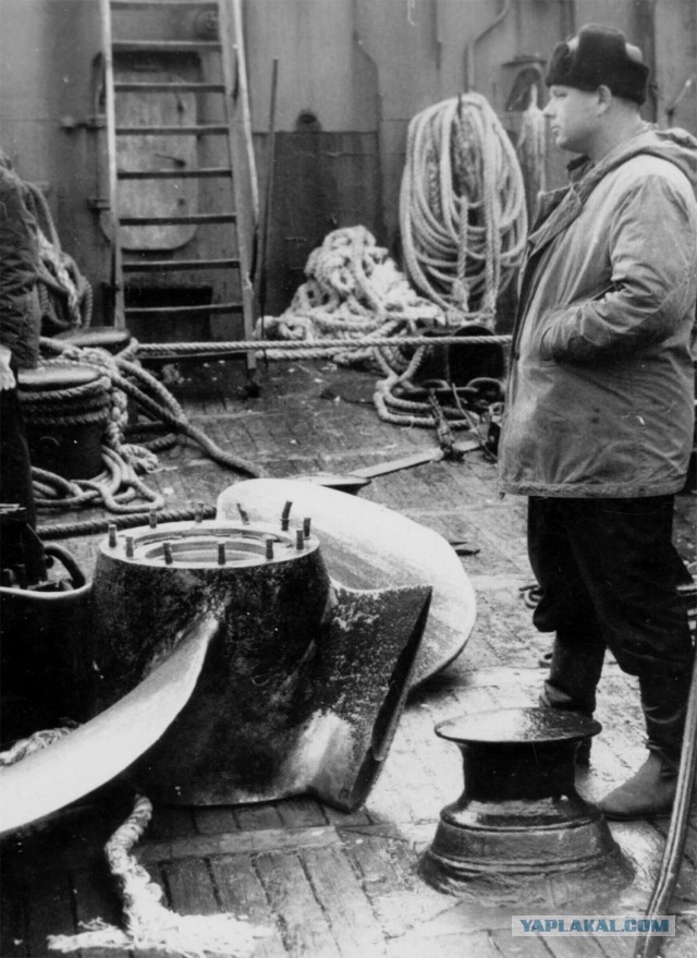 Охота на китов в СССР - фото 1965г.