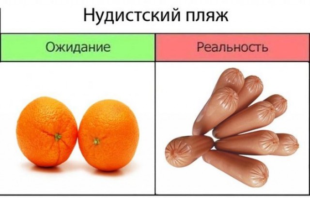 8929914.jpg
