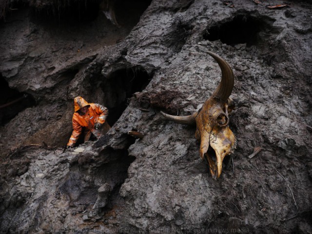 Охотники на мамонтов: черные копатели Сибири