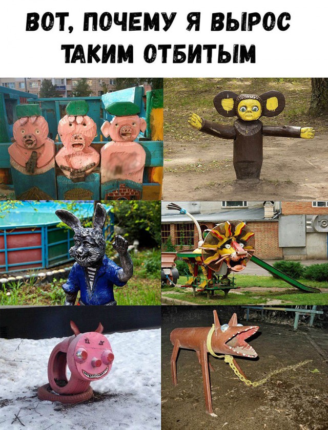 11315424.jpg