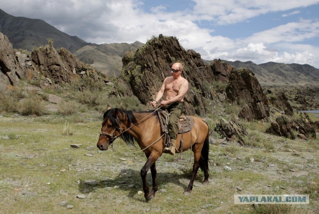 Фотографии путина для сайта знакомств