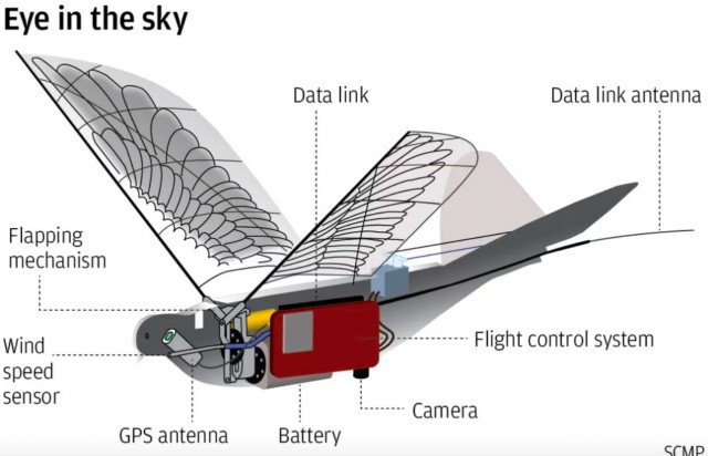 В Китае начали делать дроны, похожие на птиц. Для слежки за жителями?