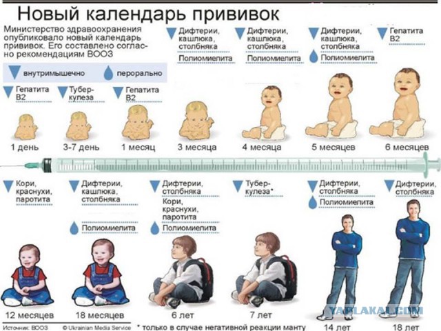 Когда можно делать массаж после прививки акдс Когда можно делать массаж после прививки акдс