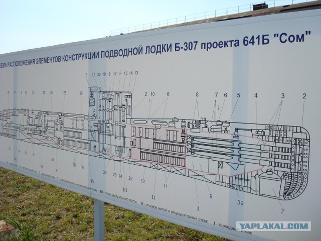 Бурлаки под Тольятти