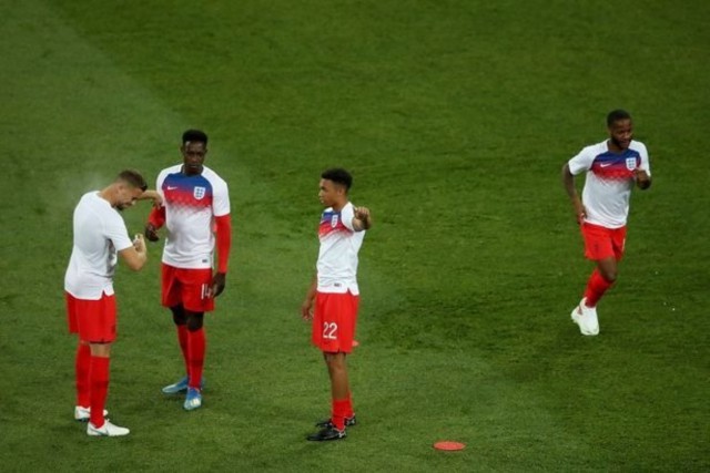В день матча Англия — Тунис на Волгоград напали полчища мошки, хотя на борьбу с ними к ЧМ-2018 выделили миллионы рублей