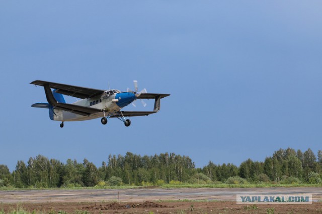 Прототип сменщика Ан-2 совершил первый полет