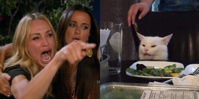Мем: Две женщины орут на озадаченного кота за столом