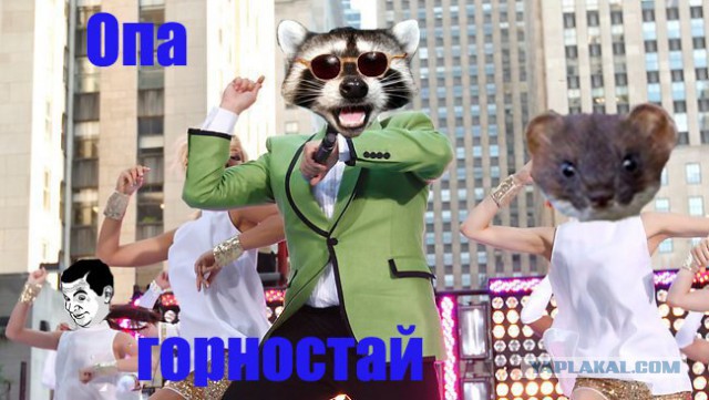 Скачать песни горностай