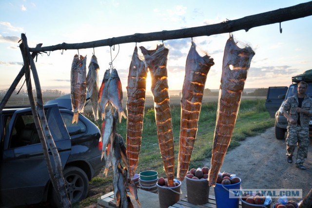 Мангышлак 2015: море, камни, песок