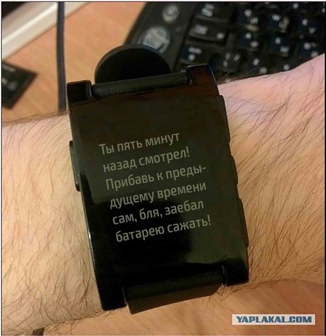 4996634.jpg