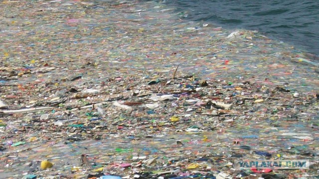 Plastic Patch In Pacific Ocean