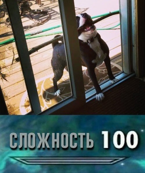 Нестандартный юмор