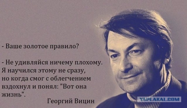 Могила Георгия Вицина превращается в свалку