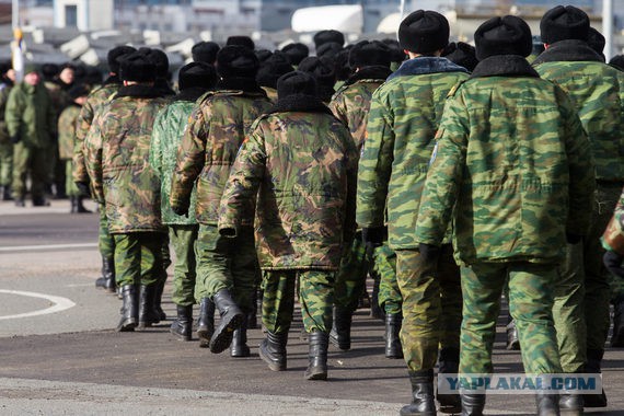 Наказание за неявку на военные сборы