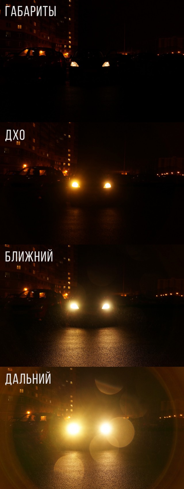 6449834.jpg