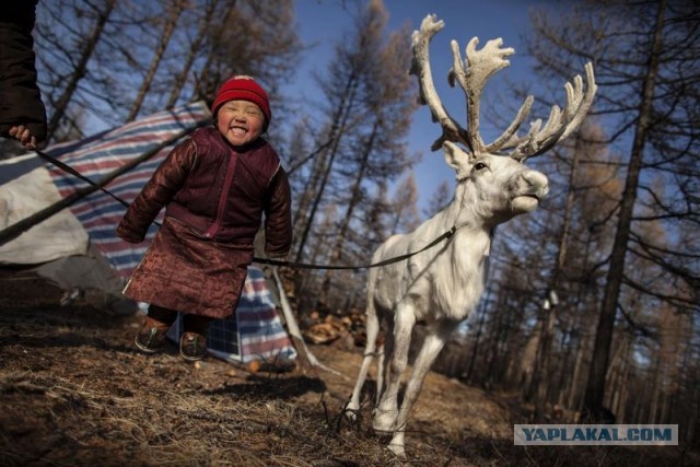 Фотографии людей, показывающие разнообразие населения планеты