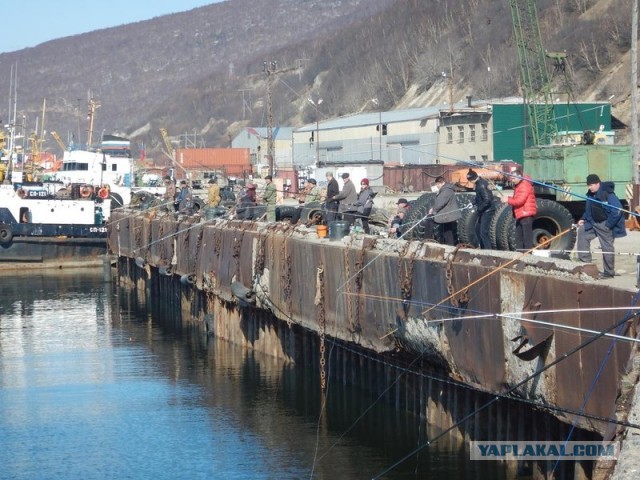 Морское меню Колымского рыбака