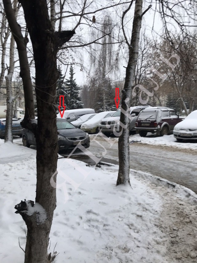 «Папа всё разрулит»: Маму с ребёнком на руках избили из-за "неправильной" парковки в Нижнем Новгороде