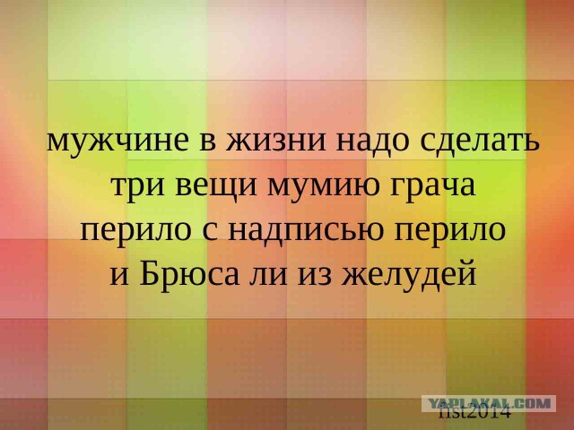 Не в склад,не в лад,поцелуй бревно в живот