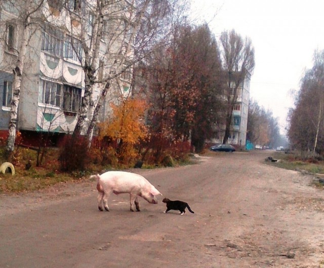 Удивительные снимки с российских просторов 03.02.19