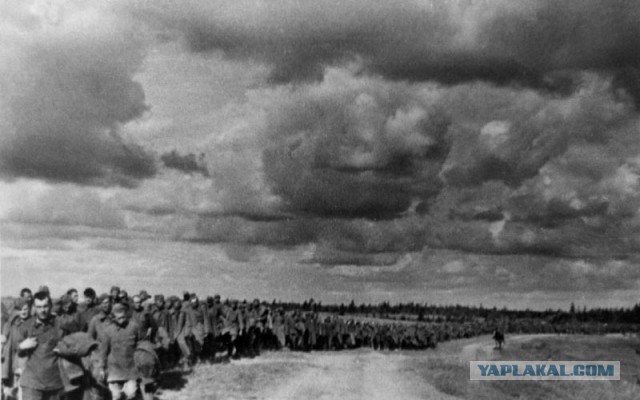 Фотографии войны 1941-1945 годов