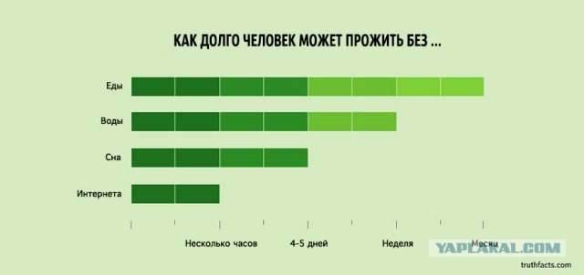 33 ироничных факта о нашей жизни в графиках