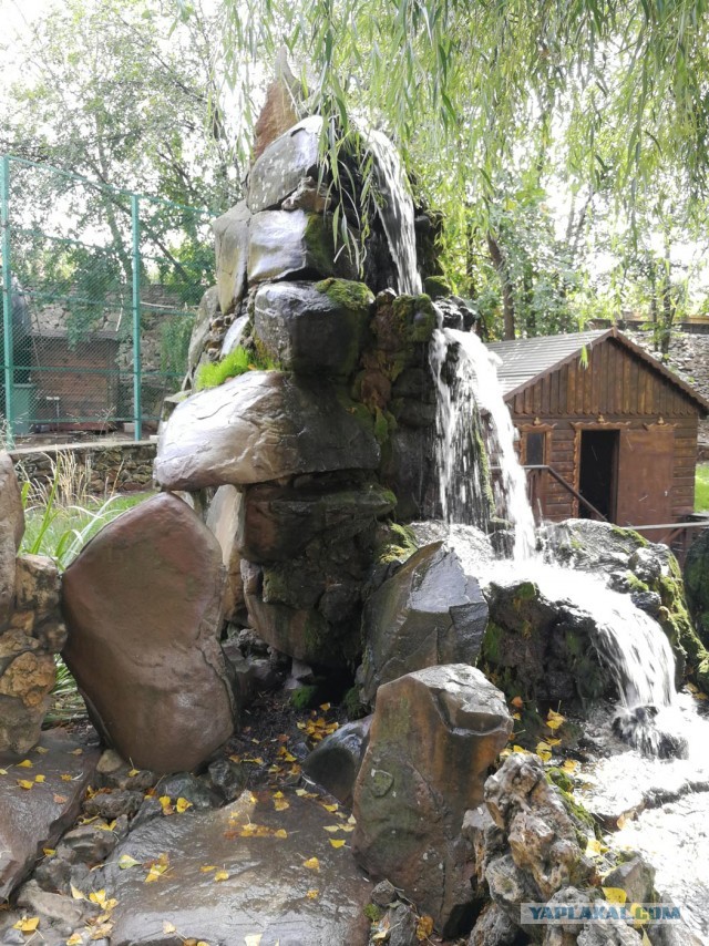 Парк Лога лучший парк в Ростовской области
