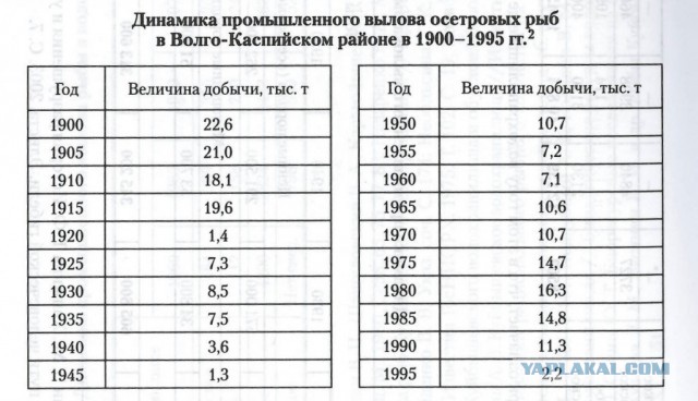 Тебе что, ведра воды жалко?