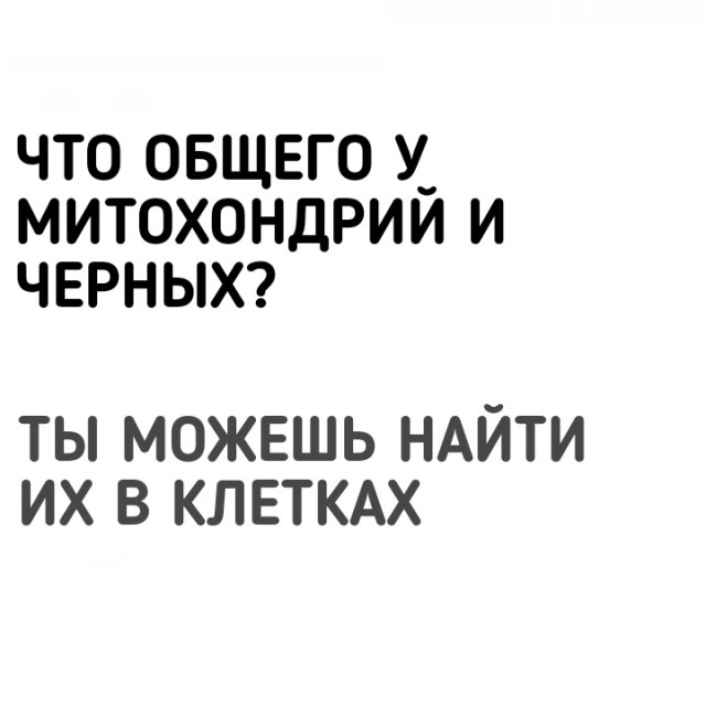 Все аморалы в сборе? - Тогда начинаем!