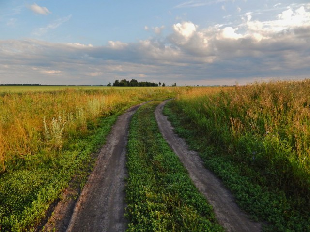 Красота сельских дорог