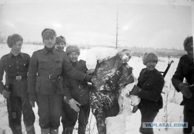 1939 г. Польша и Финляндия. Две девы