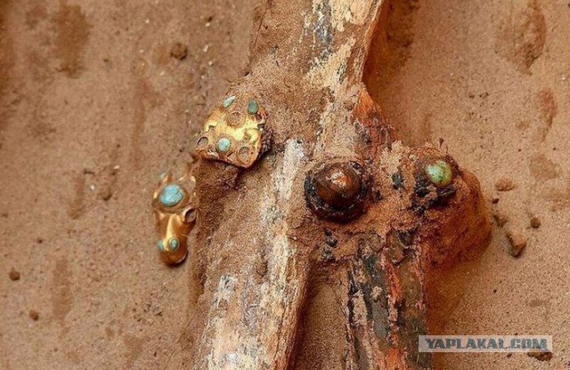 Астраханский фермер обнаружил на своем участке 2000-летнее захоронение с драгоценностями